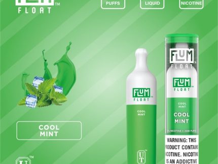 FLUM Float - Cool Mint