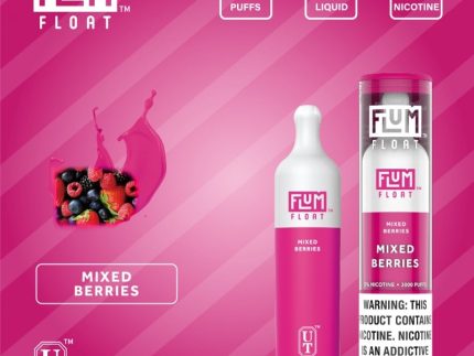 FLUM Float - Mixed Berries