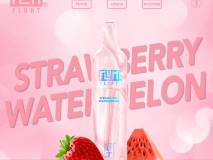 FLUM Float - Strawberry Watermelon