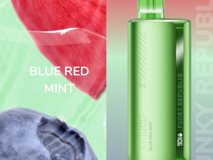 FUNKY LANDS TI7000 - Blueberry Rose Mint