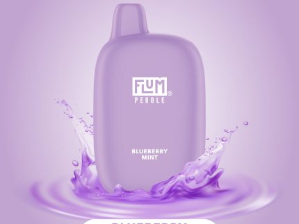FLUM Pebble - Blueberry Mint