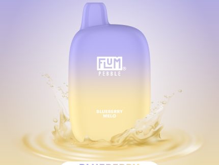 FLUM Pebble - Blueberry Melo