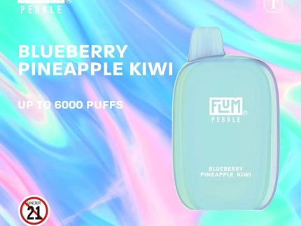 FLUM Pebble - Blueberry Pineapple Kiwi