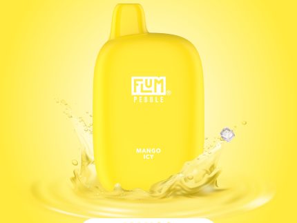 FLUM Pebble - Mango Icy