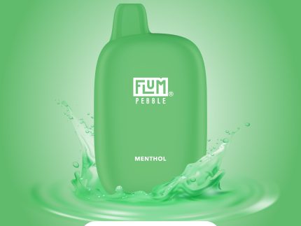FLUM Pebble - Menthol