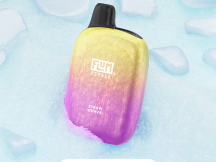 FLUM Pebble - Strawberry Guava