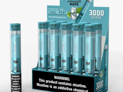 Glamee Mate Disposable Device - Cool Mint